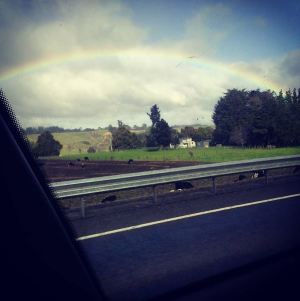 Rainbow on the way to Napier